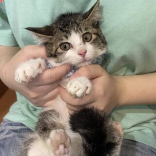 引っ込みじあんだけど慣れるとデレデレしのぶちゃん