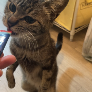 甘えん坊で性格めっちゃいい女の子