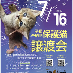 ほごっこ子猫の譲渡会（予約制）