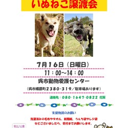 いぬねこ譲渡会 