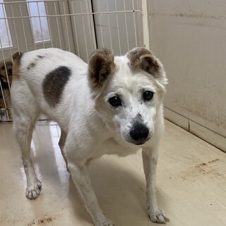 仲間に寄り添うことが出来る優しい女の子