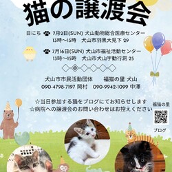 猫の譲渡会