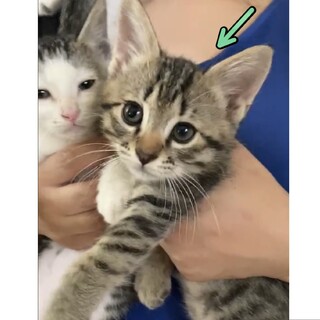 《里親サマ決まりました》｡⋆陽くん  2ヶ月