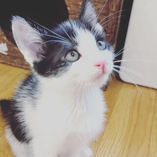 2023年6月生まれハッチくん