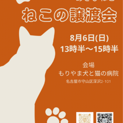 ねこの譲渡会