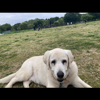 人懐こい子です