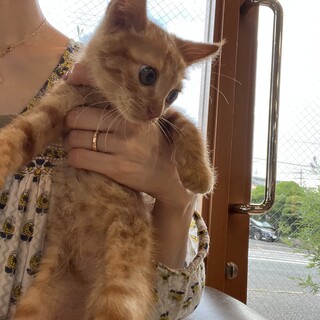 きゅん‼︎な♡ちゃとらBOY