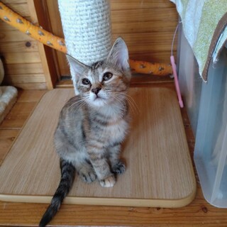 ☆甘えっ子の麦ちゃん☆