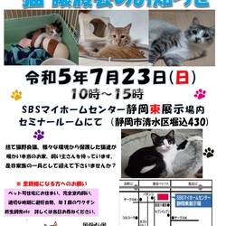 保護ニャンコの譲渡会ｂｙ静岡市清水区