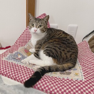 僕にも家族できるかな・・・