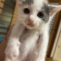 ありがとうございました