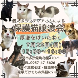 保護猫譲渡会 in 厚底をはいたねこ