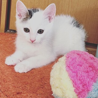 2023年6月生まれウルくん