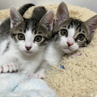 仲良し姉妹です！