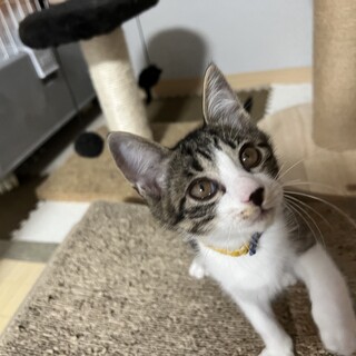 元気で活発な男の子です！！