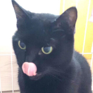 まだまだビビりなお母さん【みとねちゃん】