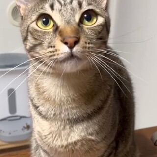 お見合い会で素敵な家族が見つかりました☆ヨルくん
