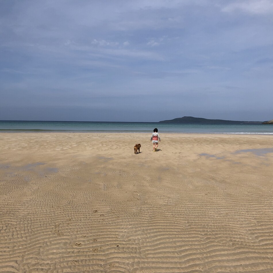 あんのカバー写真