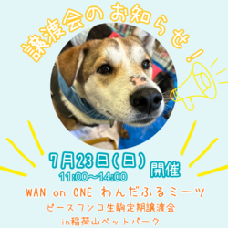WAN on ONE わんだふるミーツ