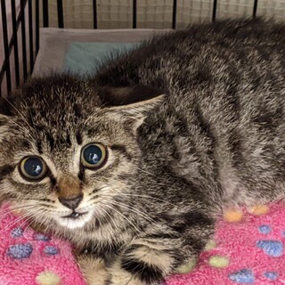 Help期限有り下半身麻痺でも頑張る女の子