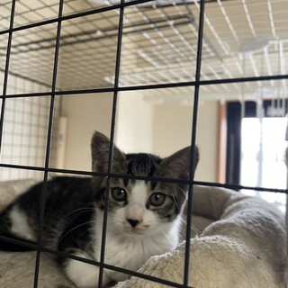 ユーニョトライアル予定！募集一時中止