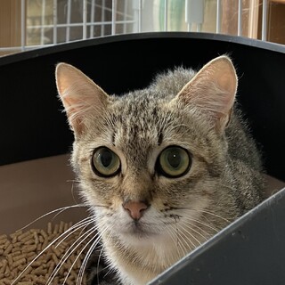 ありがとうございました！