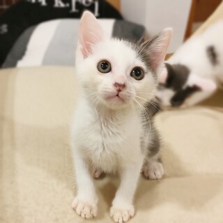 兄妹で一番マイペースな男の子☆