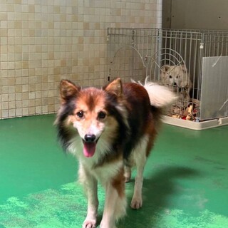 ありがとうございました！