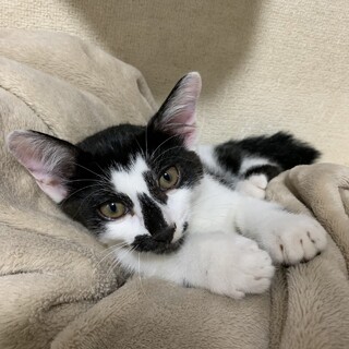 兄弟で家族が見つかりました☆翠くん