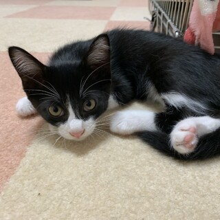 兄弟で素敵な家族が見つかりました