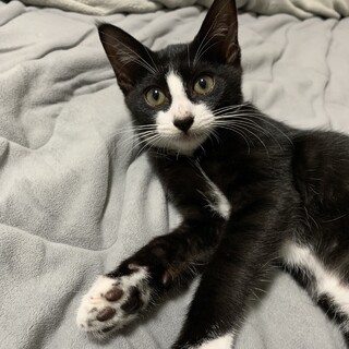 素敵な家族と出会えました♡蓮ちゃん