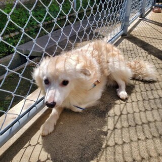 ありがとうございました！