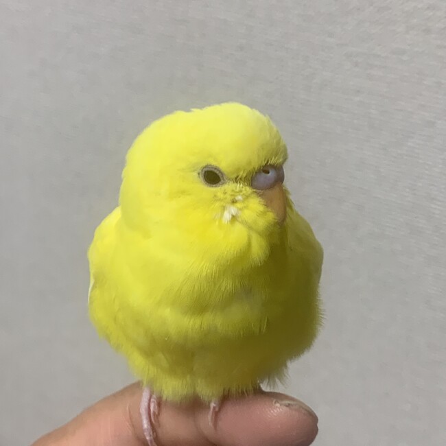 MasaRRのカバー写真