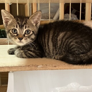 ありがとうございました！