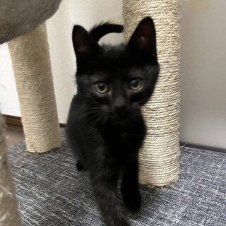 〝モカ君〟です♪