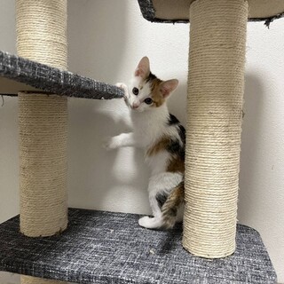 〝ミカちゃん〟です♪