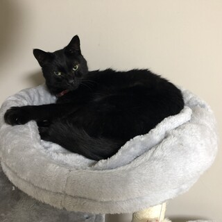 緊急！！助けてください！名前はクゥとロォです