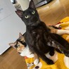 首元が白い鷲ヶ岳くん【飛騨】 サムネイル3