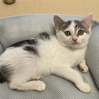 ★ころころ★みずたま★ふくふく