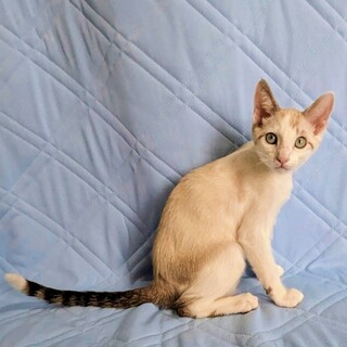 おしゃべり上手で食欲旺盛な男の子♪