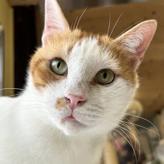 クセになる可愛さ♪甘えん坊もんくん