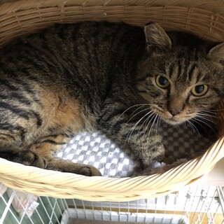 〝マリオ君〟です♪