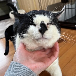 鳴き声が可愛いダンくん【飛騨】