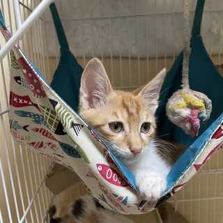 バリバリのヤンチャっ子❣️