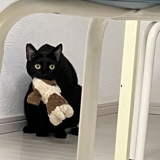 怖がりでウメちゃんにくっついていたいサツキくん
