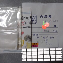 「おたま通院」サムネイル2