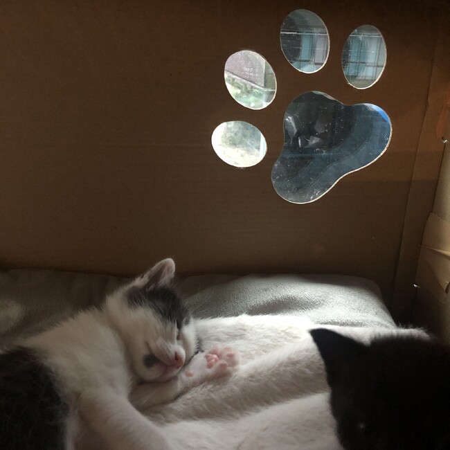 はまけのカバー写真