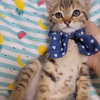 過酷な環境を生き抜いた！くう君♡２ヶ月半