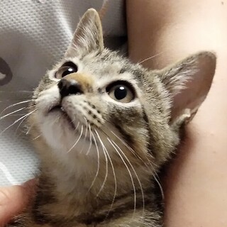 フミフミ☆チュッチュが大好きなオット君！