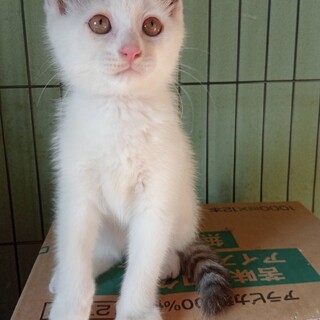 無事家族が決まりました